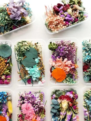 Dried Flowers Package For DIY ...