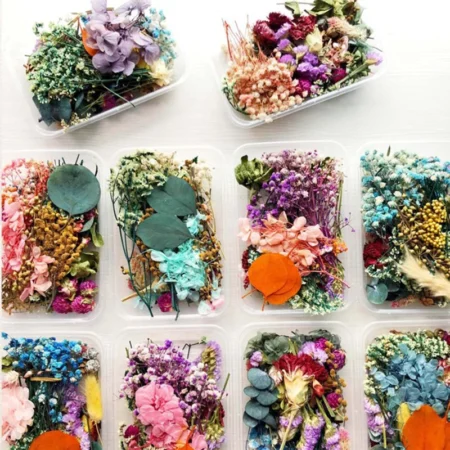 Dried Flowers Package For DIY Epoxy & Aromatherapy Candles Decor - Image 2