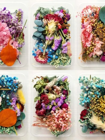 Dried Flowers Package For DIY ...