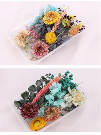 Real Pressed Flower Mixed Drie...