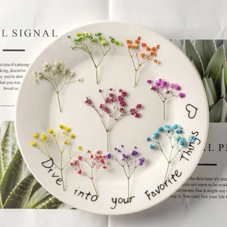 Pressed Dried Gypsophila Flowers – For Resin Jewelry, Nail Art & DIY Crafts - Image 3