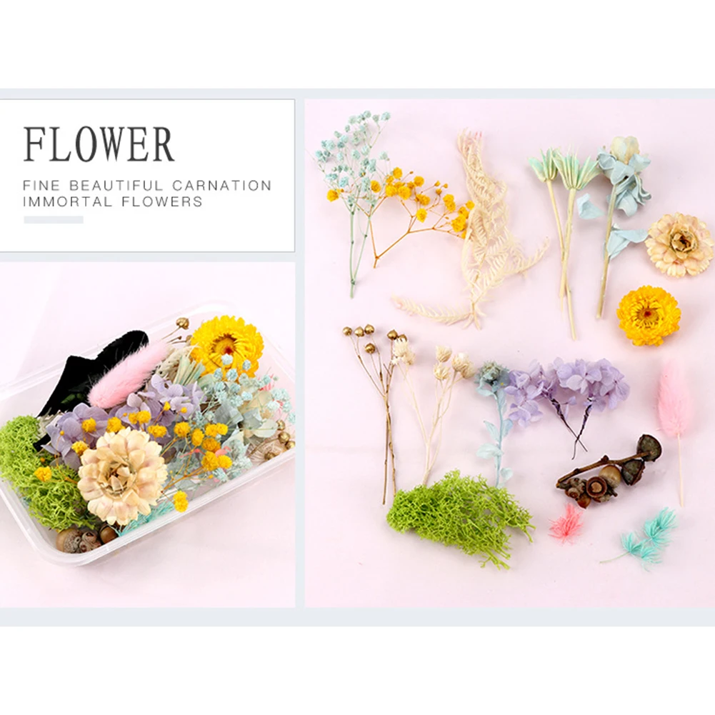 kf-S6b5ad76f220743b8a52b6a8a5b3afc1bB