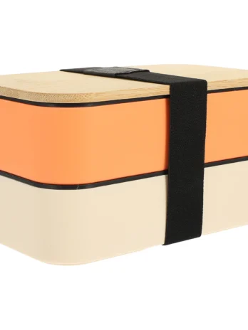 Double-Layer Bento Box with Wo...