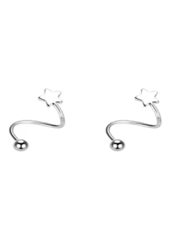 2pcs Stainless Steel Spiral Tw...