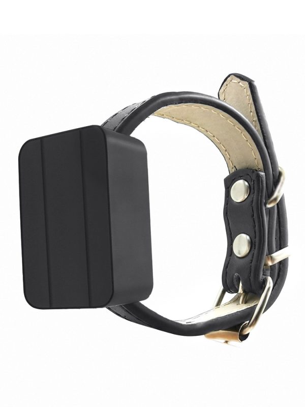 Pet Mini GPS Locator