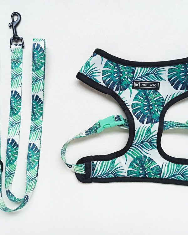 Small dog pet harness