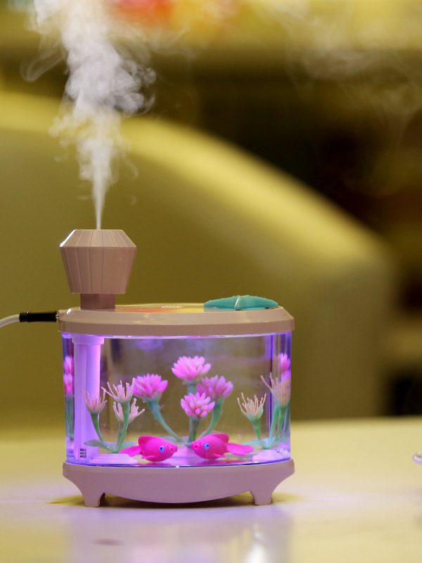 Fish tank lamp humidifier