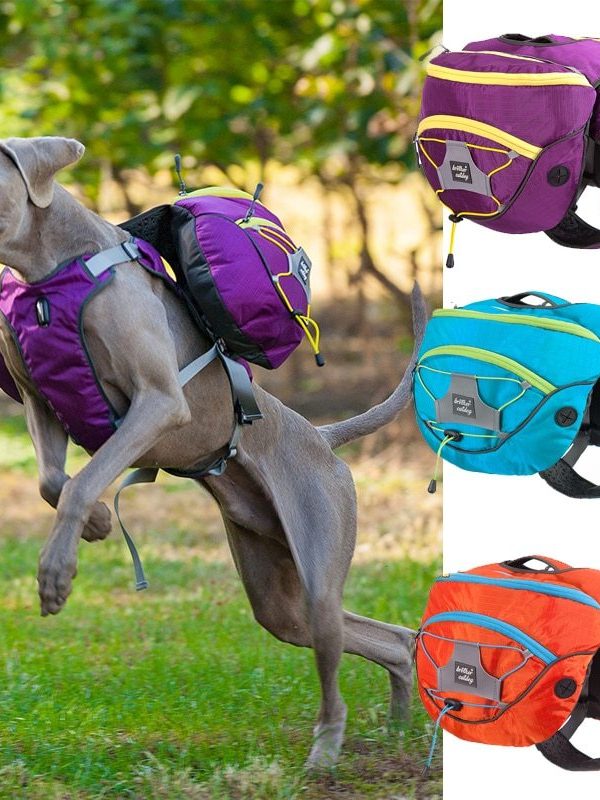 Pet self backpack