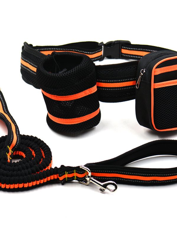 Reflective pet traction set
