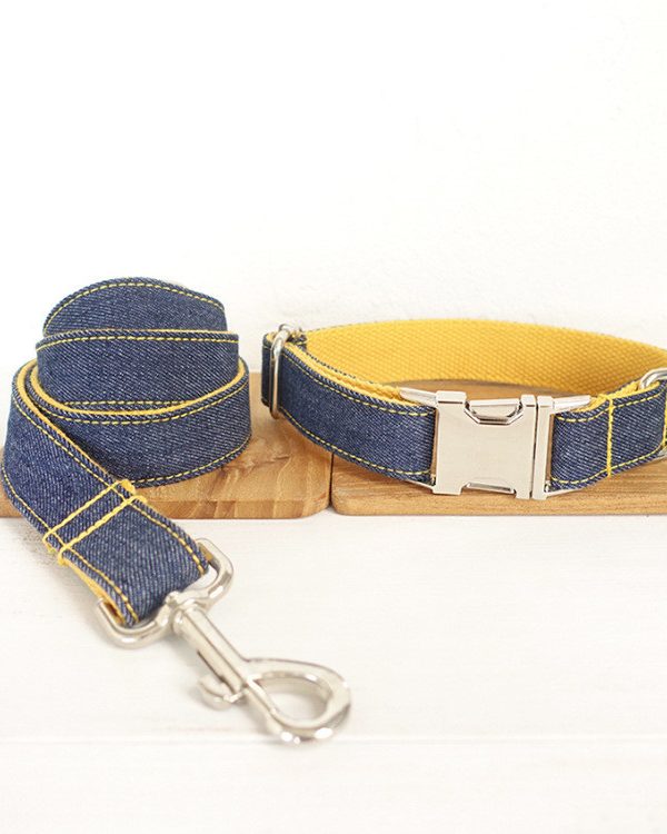 Pet cowboy collar