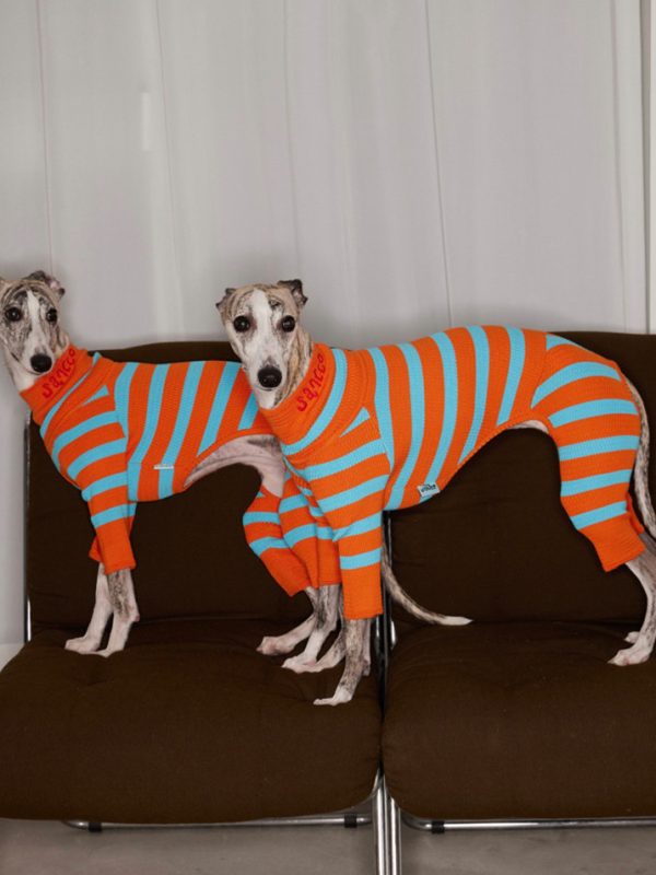 Knitted Contrast Color Stretch Four-legged Pet Clothing Pet