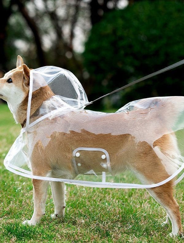 Pet Raincoat Transparent Dog