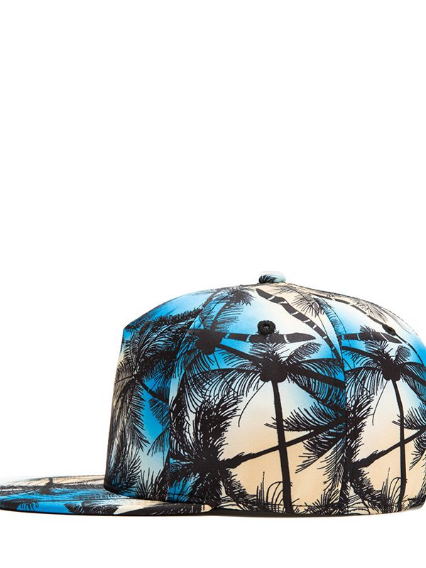 Hip Hop Flat Brim Baseball  HD Digital Printed Coconut View